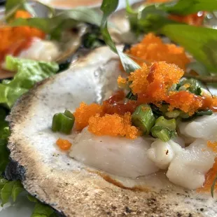 oysters and mussels, food, shellfish, mussels, oysters