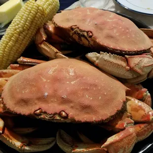 Dungeness Crab boiled in Louisiana Fish Fry© Crawfish, Shrimp &amp; Crab Boil