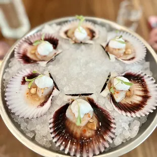 food, sushi and sashimi, sushi, sashimi