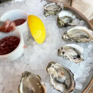 Kumamoto Oysters