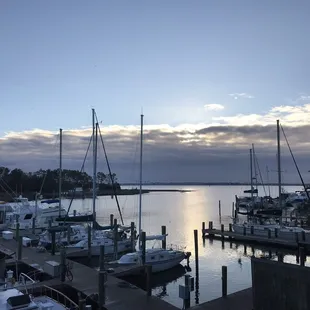 View from back porch