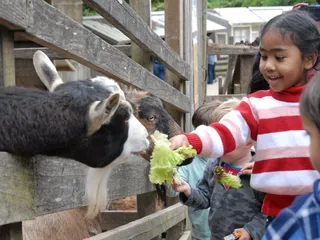 Mi Pequeño Mundo - My Little World Preschool