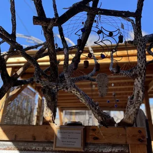 a tree branch and a sign