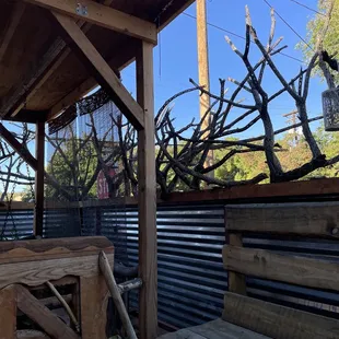 Cholla fence.