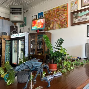 a bar with plants on the counter