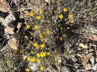 Franklin Mountains State Park