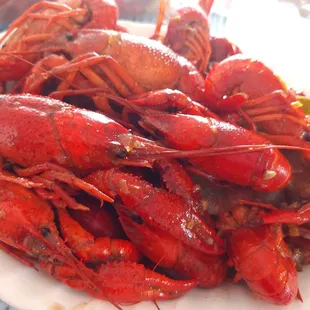 Here during the crawfish season? YOU NEED THIS. (Turtle sauce.)