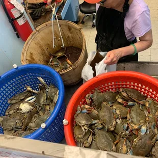 a woman sorting crabs