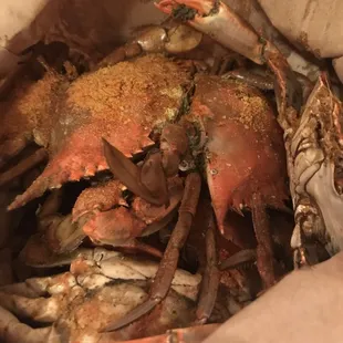 Steamed blue crabs! I like them large, female, with extra oldbay!