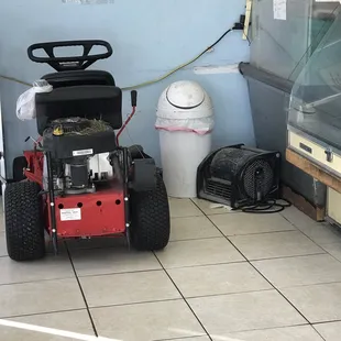 This is the funkiest place I have ever smelled and they have a riding lawnmower stored feet away from the fish counter with grass on it.