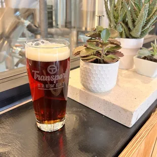 a pint of beer on a counter