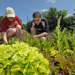 Community Garden