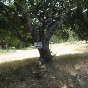 The path that leads to the trapeze rig