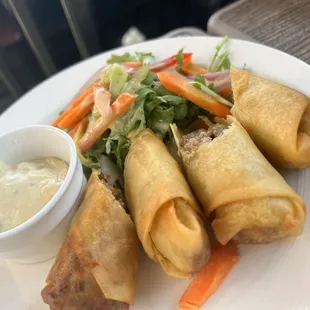 Spring Roll Philly Cheesesteak