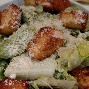 Caesar Salad Panino