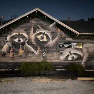 raccoons on the side of a building