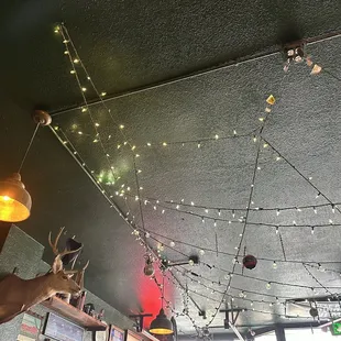 Sitting under the twinkling lights