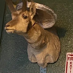 Interesting wall paraphernalia