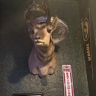 One of the many trophy heads at TrashHawk