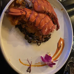 Lobster Squid
