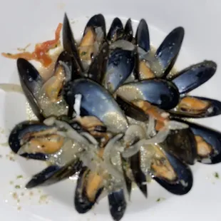 oysters and mussels, shellfish, food, oysters, mussels