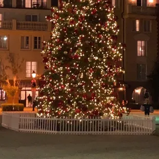a lighted christmas tree in front of a building