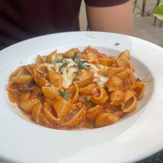 Conchiglie del Mercante