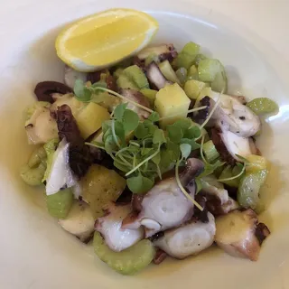 Octopus Salad