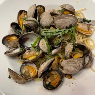 Linguine in Clam Sauce