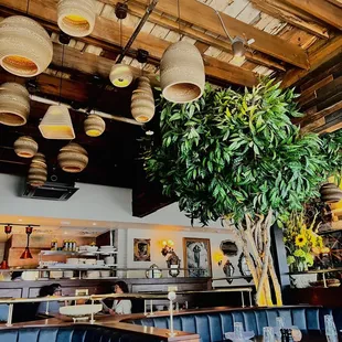 sushi and sashimi, interior