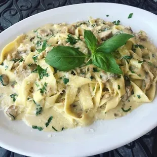 Pappardelle con Funghi - medley of mushrooms