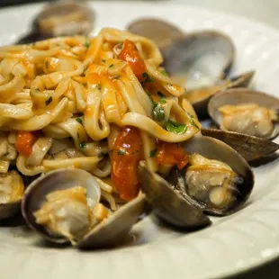 Linguine alle vongole - fresh clams