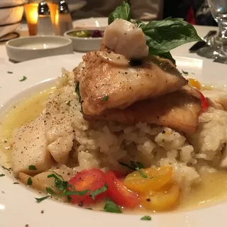 PESCE del Giorno