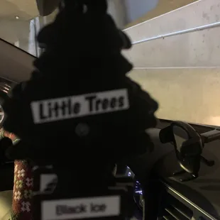 a little tree on the dashboard of a car