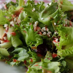 Summer salad