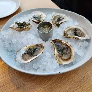 food, shellfish, mussels, oysters and mussels, oysters