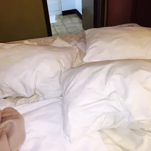 Our pillows that night. Pee stains on them