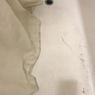 Filthy shower curtain and bathtub
