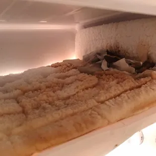 Yellow ice with rotten moldy food in freezer