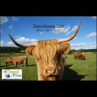 Don't wait until tomorrow, start traveling today!