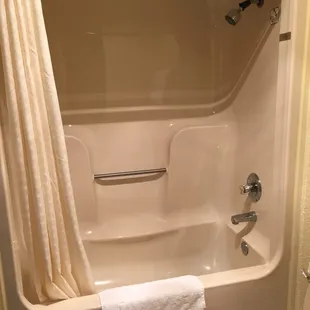 Guest Room Shower