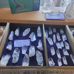 Beautiful collection of Lemurian Quarts