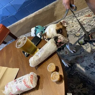 a dog sitting on a coffee table