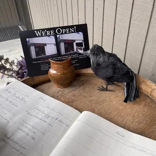 a bird perched on a barrel