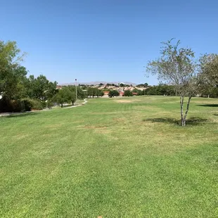 Large grassy area and parking along road