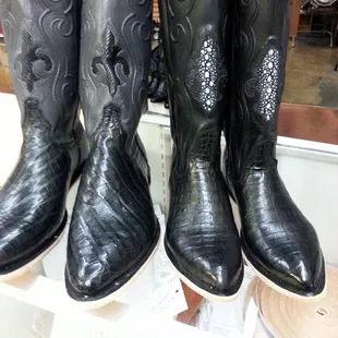 Alligator and calf on the left and alligator and calf with sting ray on the right