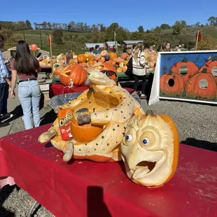 pumpkins