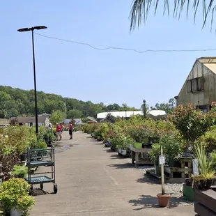 outside