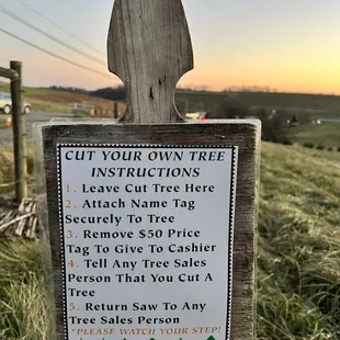 Cut your own tree