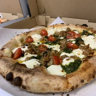 Genovese